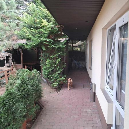 Noclegi Julia Pokoje 1-3 Parter Sniadanie Kontynentalne Kielce Exterior foto